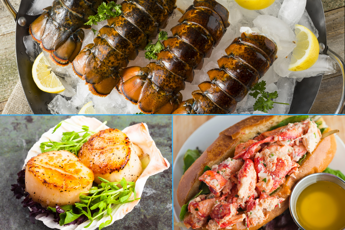 Atlantic Seafood Lovers Bundle (Small) Coldwater Harvest